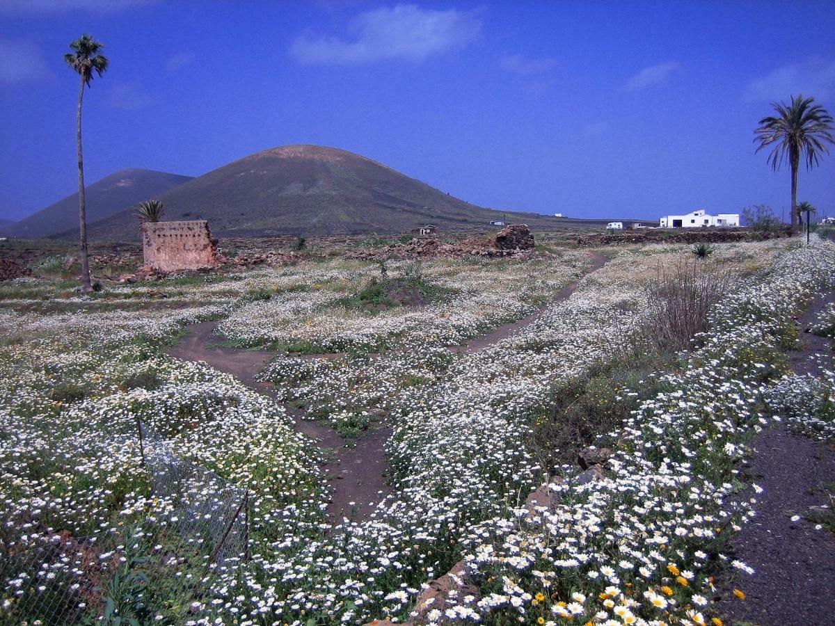 Castillo Lanzarote Villa Winni - Luxury Villa - Pet Friendly With Heated Pool La Asomada  Eksteriør billede