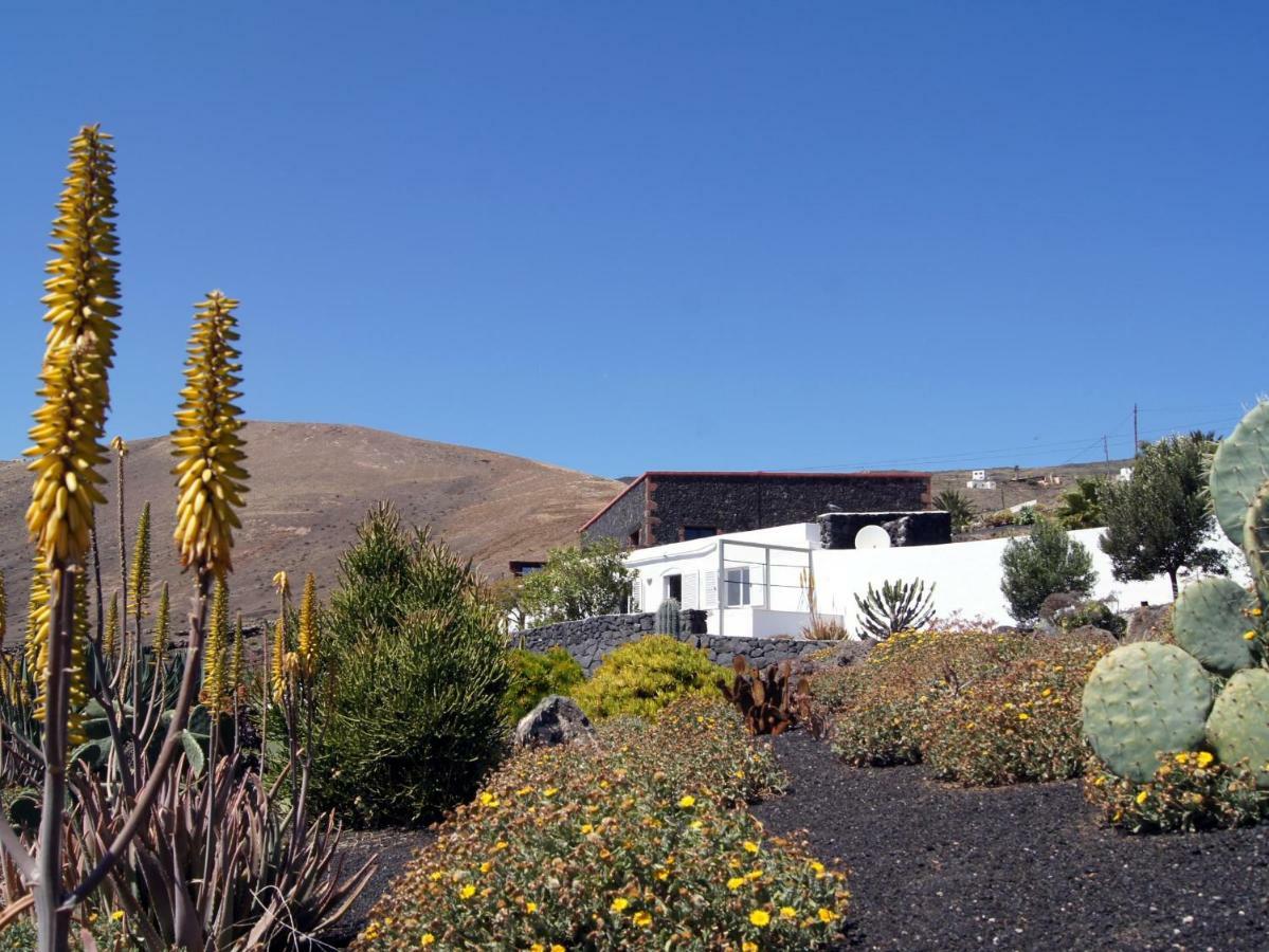 Castillo Lanzarote Villa Winni - Luxury Villa - Pet Friendly With Heated Pool La Asomada  Eksteriør billede