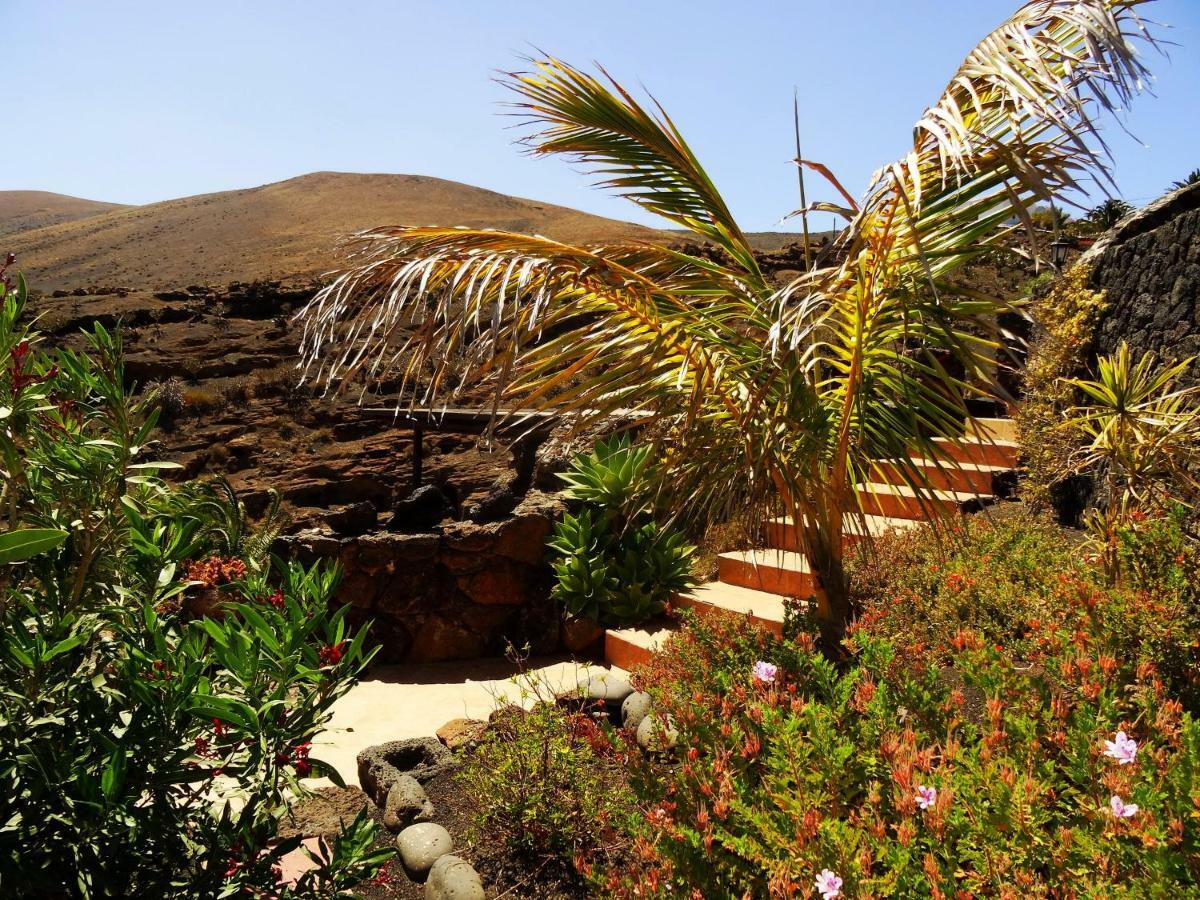 Castillo Lanzarote Villa Winni - Luxury Villa - Pet Friendly With Heated Pool La Asomada  Eksteriør billede